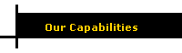 Our Capabilities